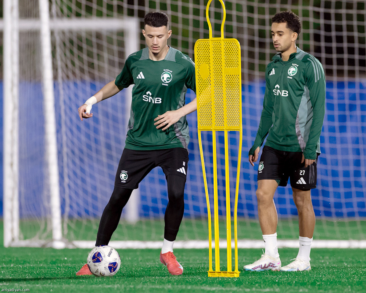 إطلالة الصقور