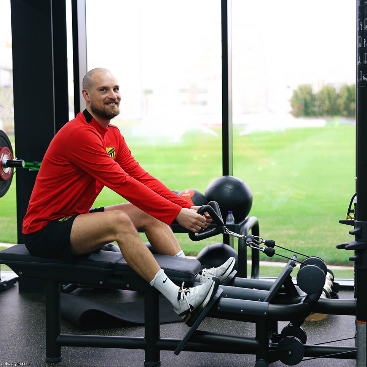 «النمور» تعاود الركض