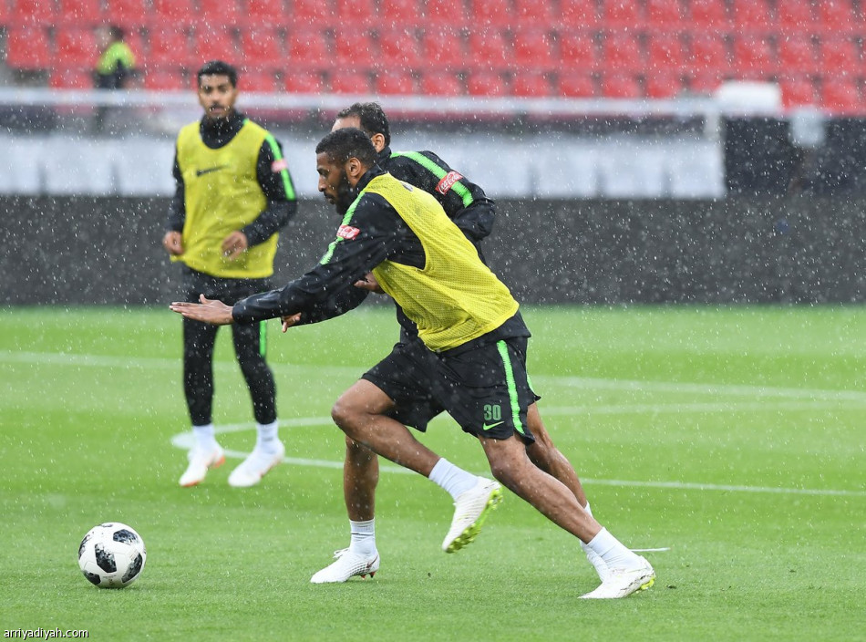 الأخضر جاهز لألمانيا