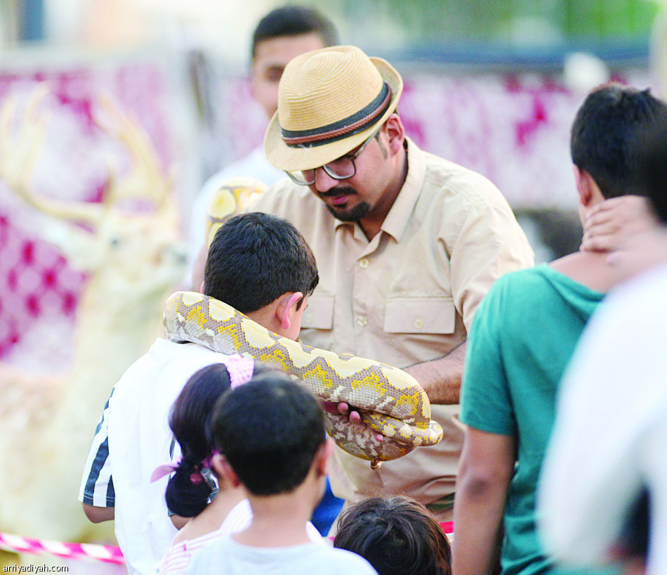 مباراة الـ 8 
تعيد الفتح