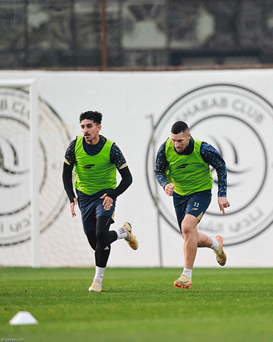 الليث يتأهب