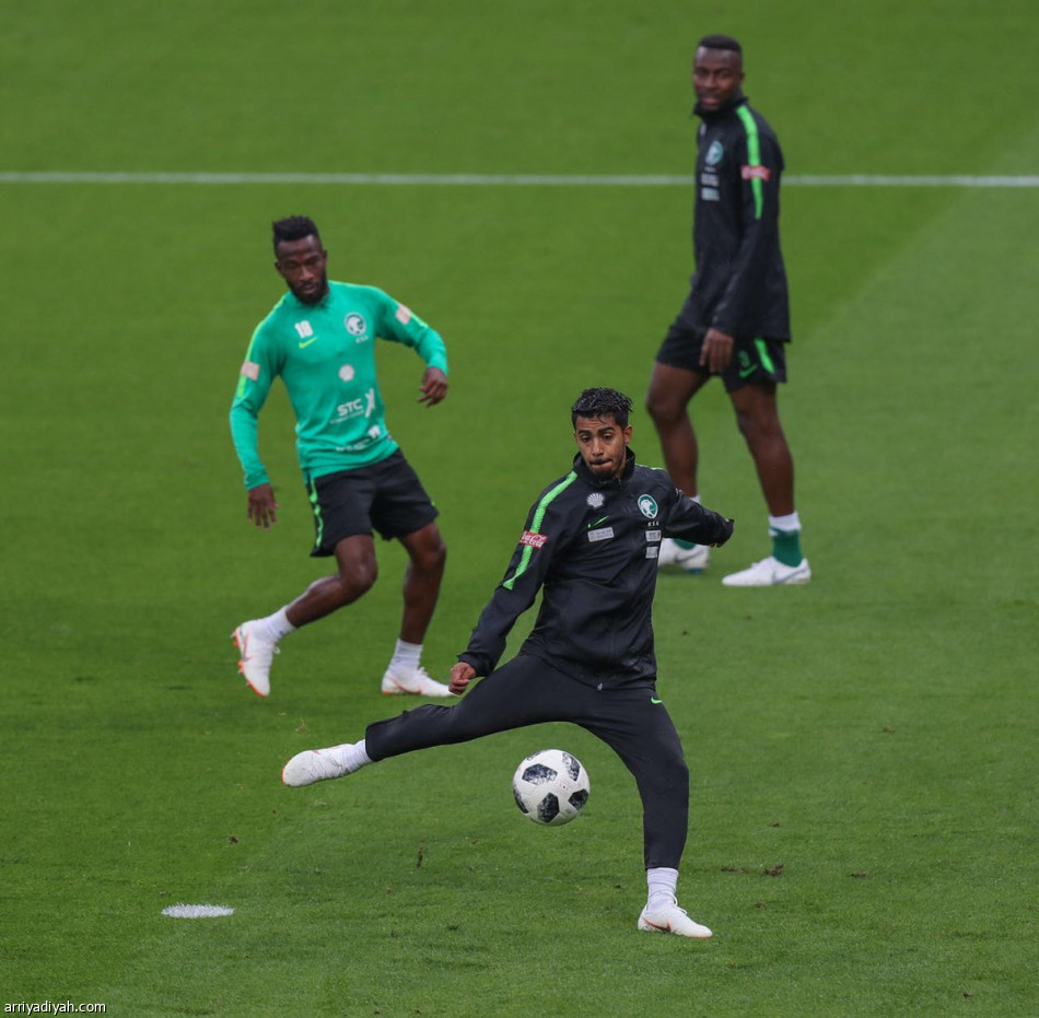 الأخضر جاهز لألمانيا