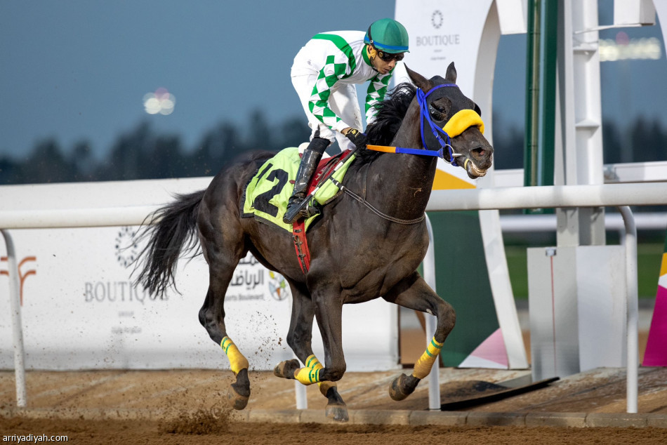 «تيندل الجسرة» ينتزع أغلى أشواط حفل الـ35