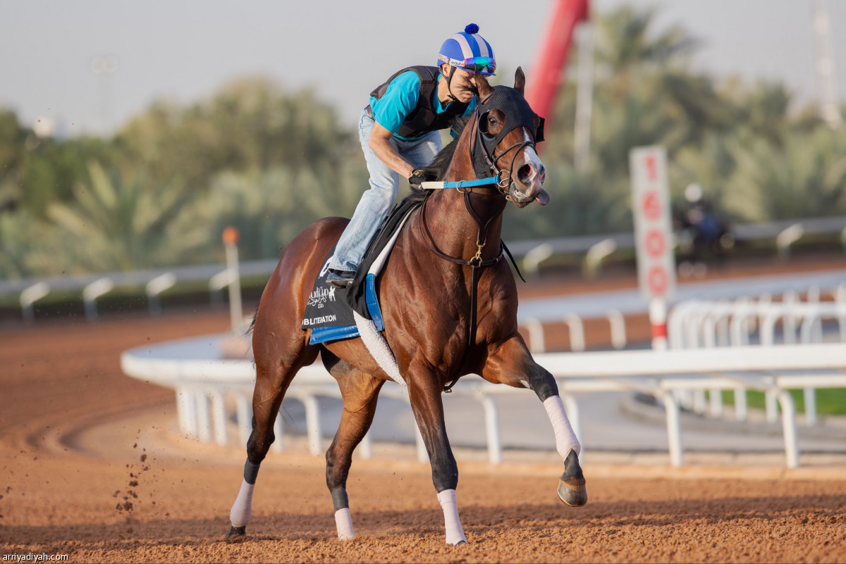 تدريبات مستمرة