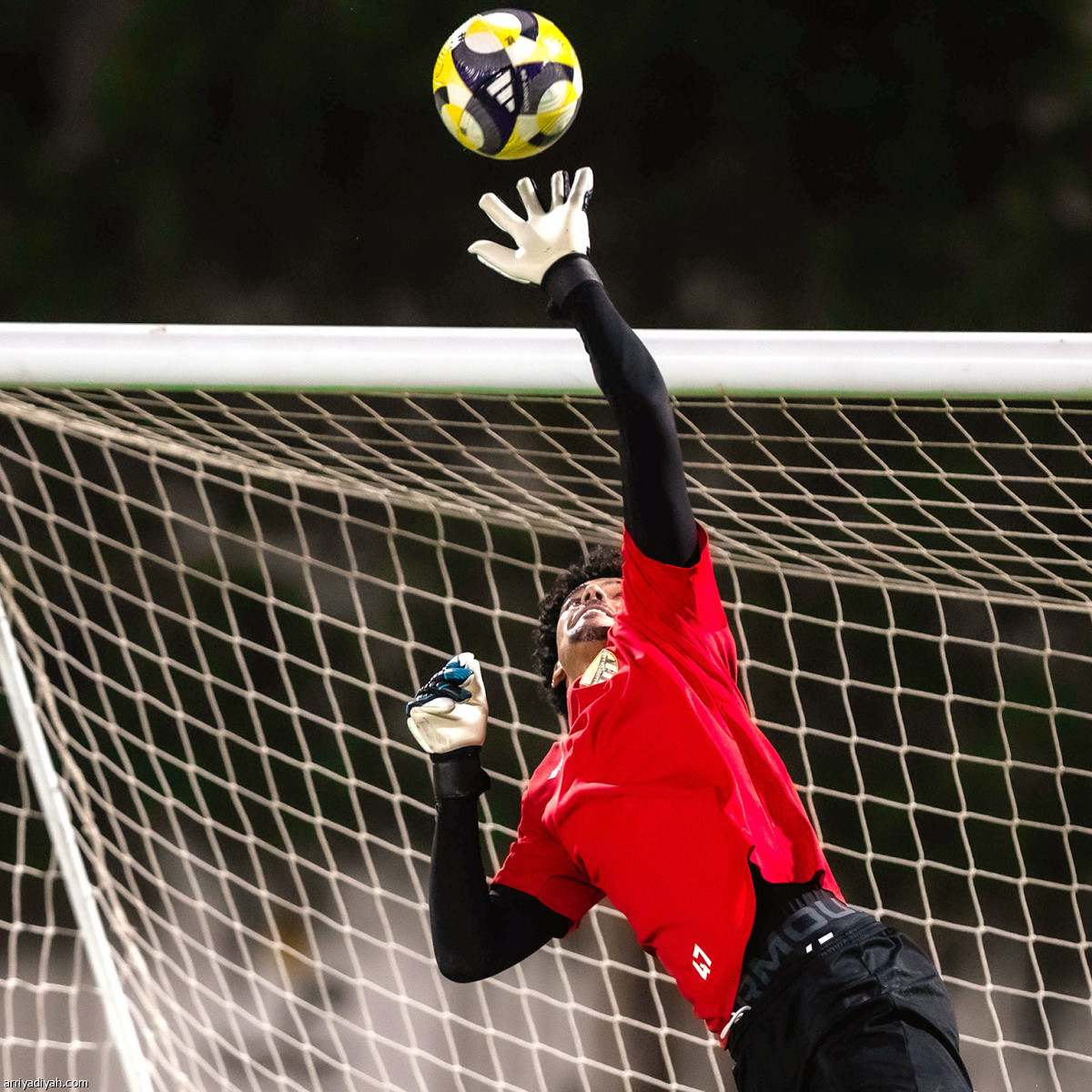 «النمور» يتجهزون