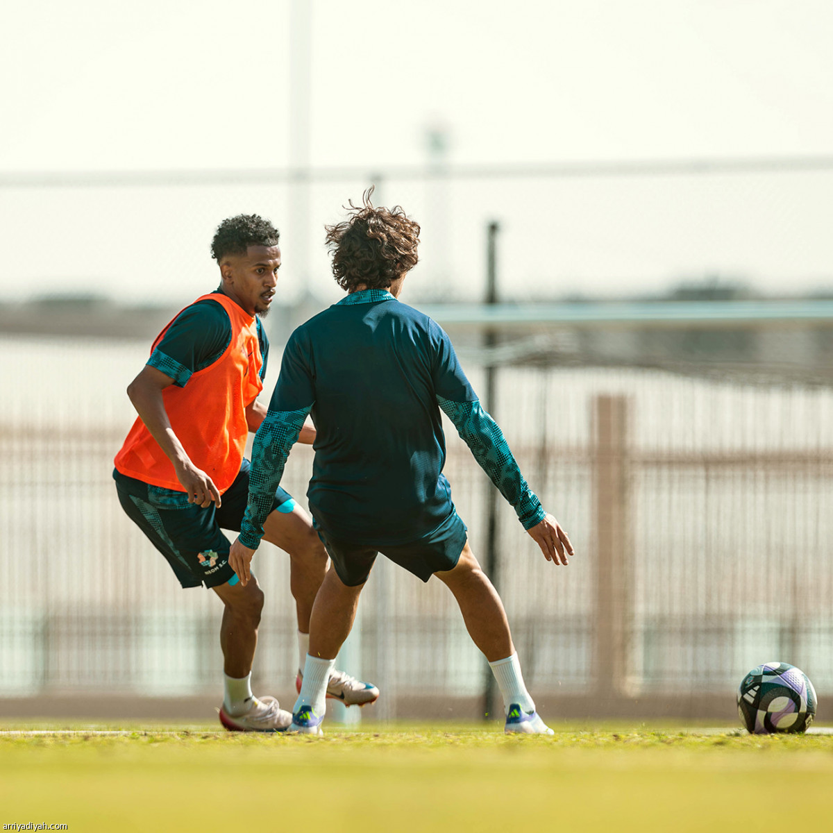 مناورة نيوم