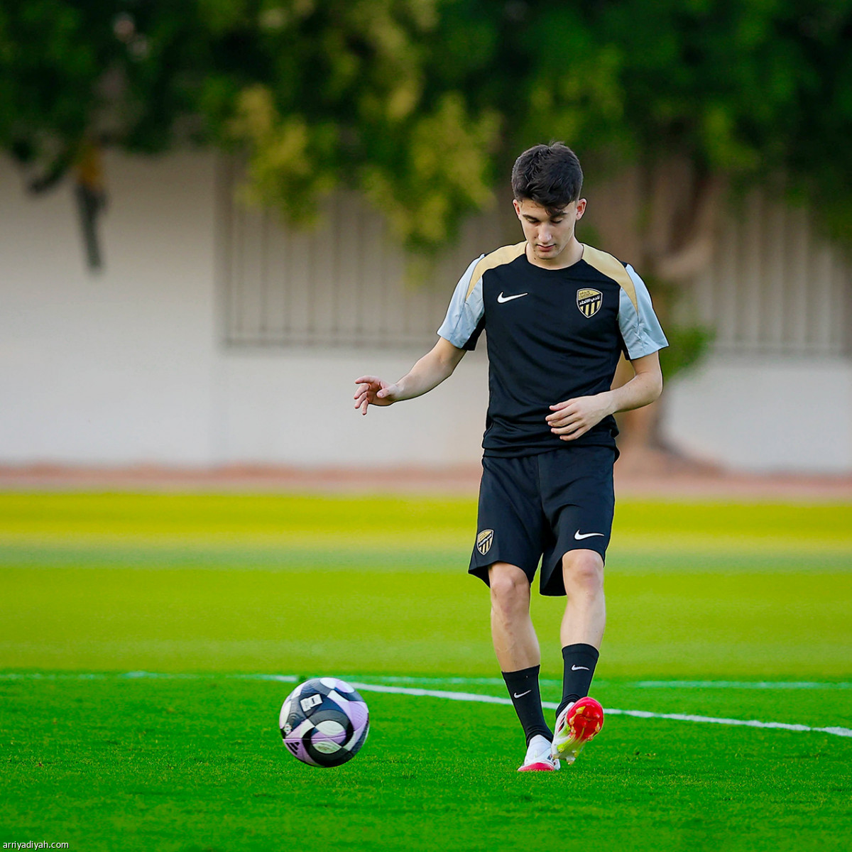 أوناي ينطلق مع «النمور»