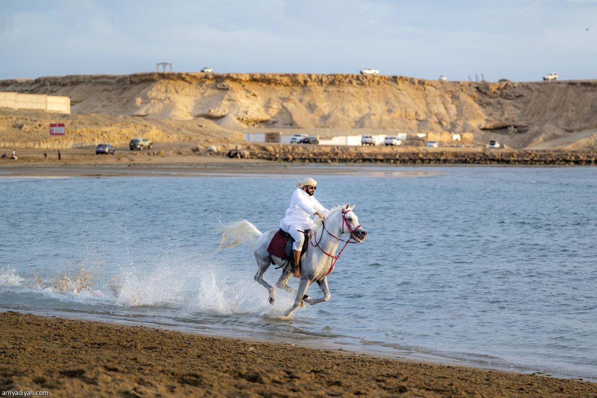 تدريبات يومية