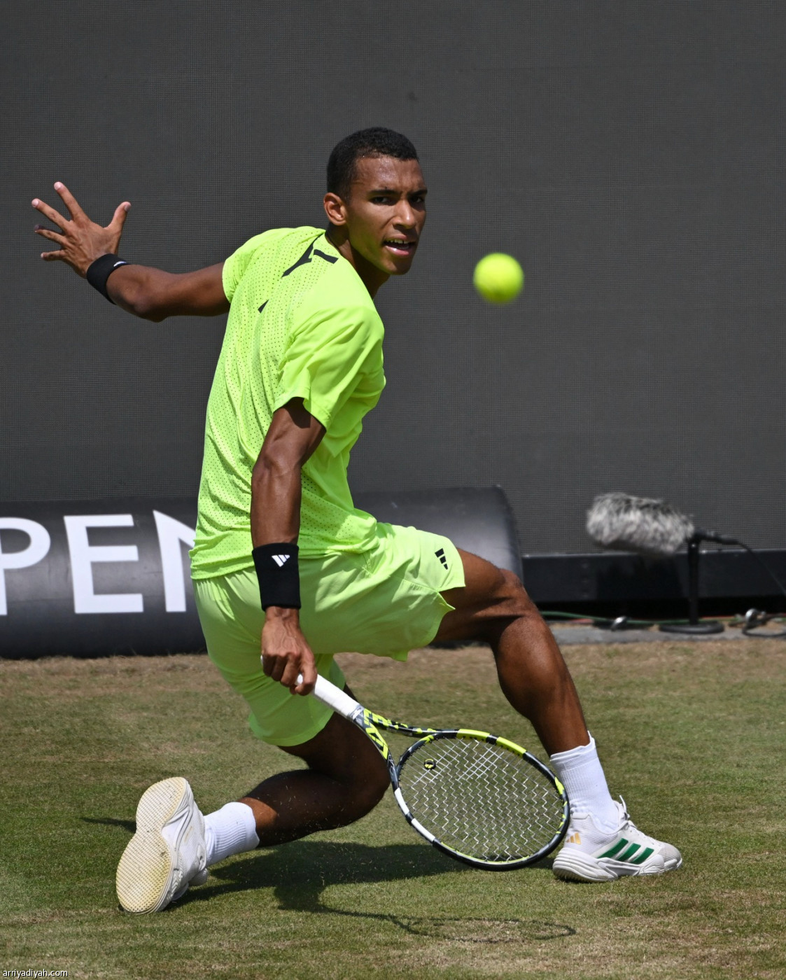 تايلور يعبر