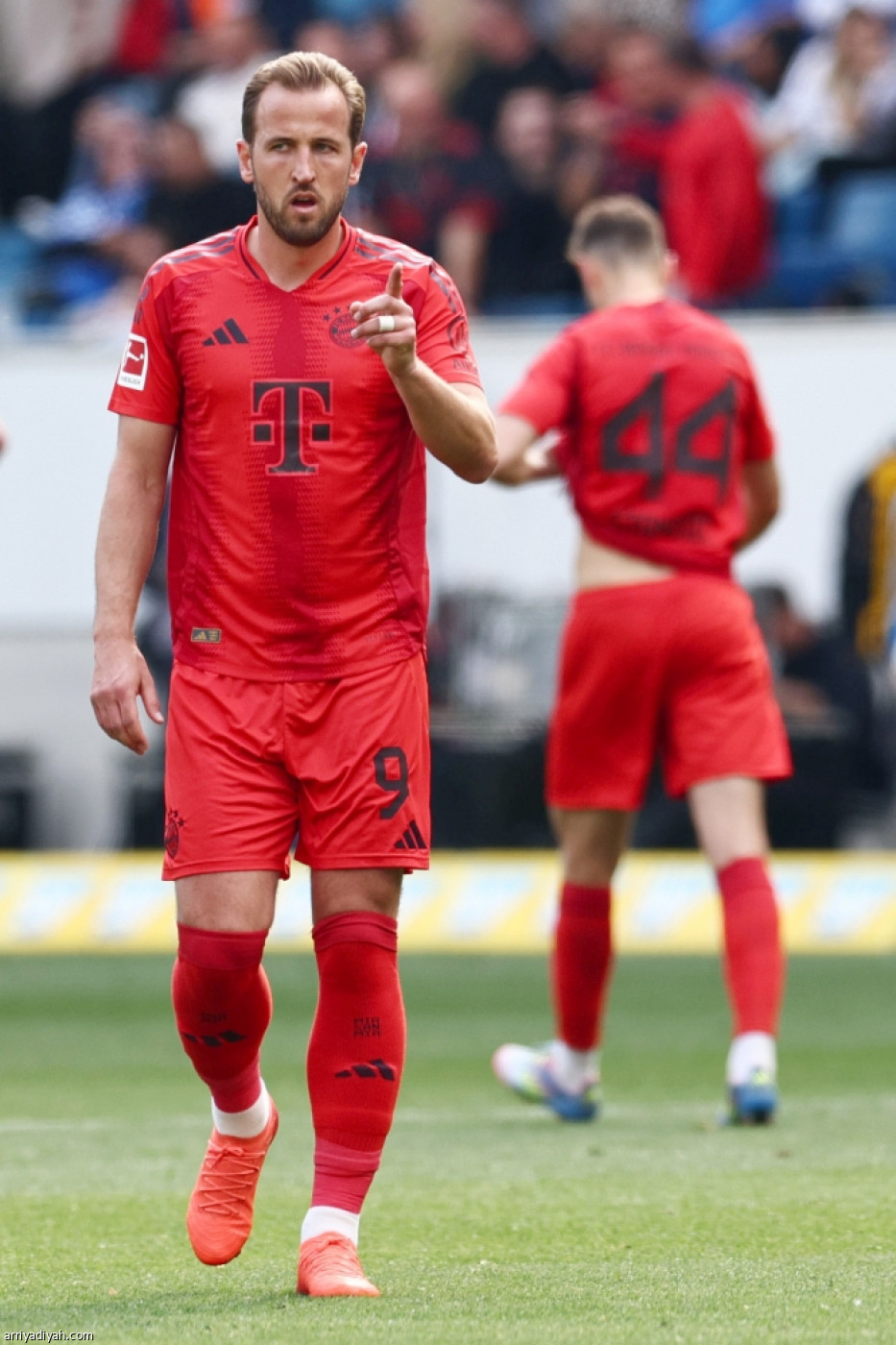 كين.. رقم قياسي