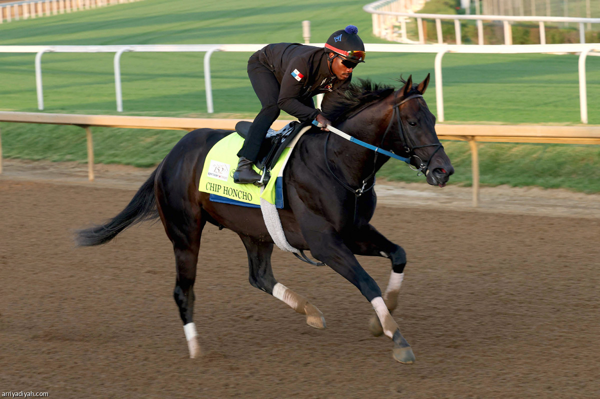 تحضيرات الخيول