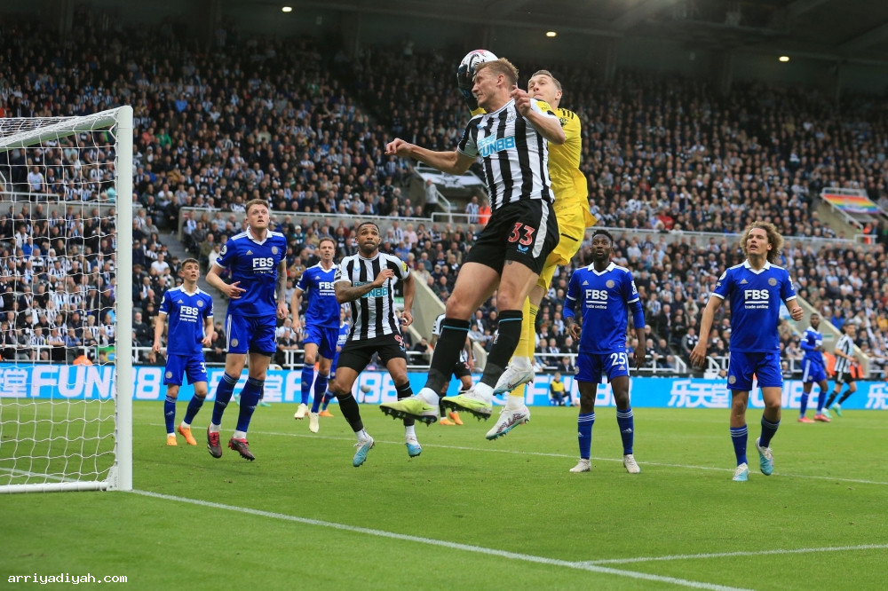 نيوكاسل.. من صراع البقاء إلى أضواء الأبطال