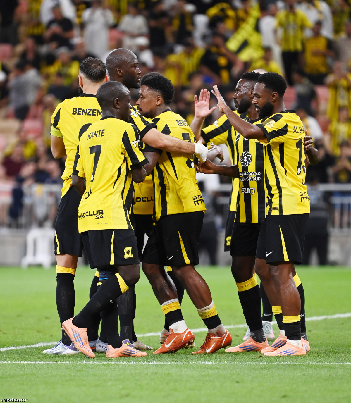 «النمور» تحتفل