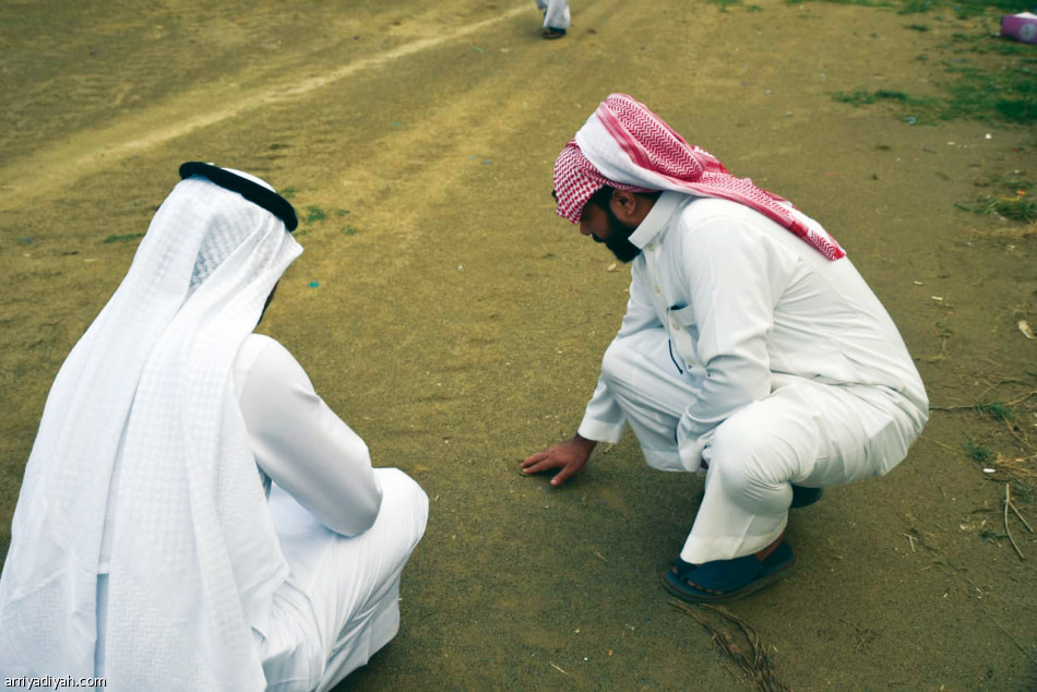 الملعب المنحوت
قصة تنتظر نهاية جميلة