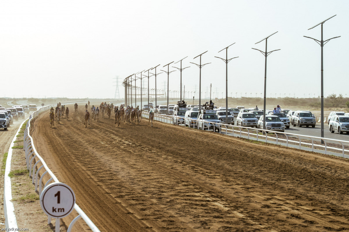 متابعة وترقب