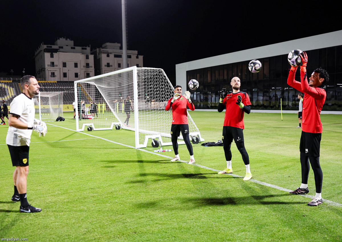 النمور تستنفر