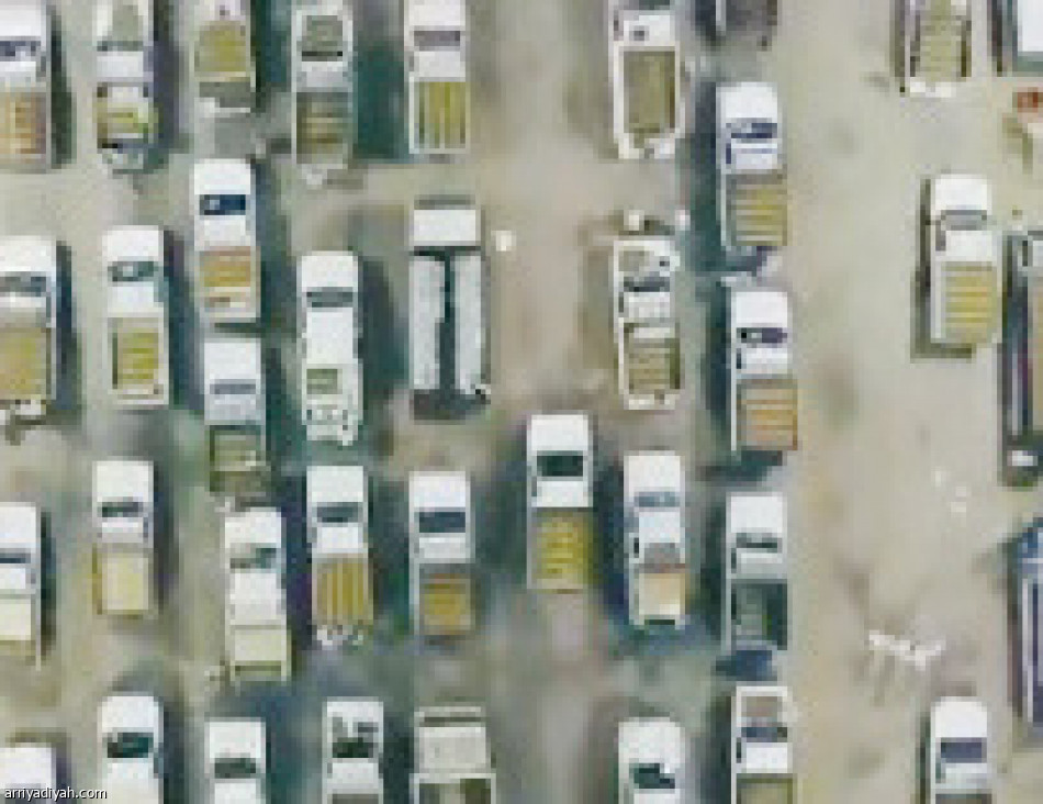 تقديم كاكو
مليونا تفاعل