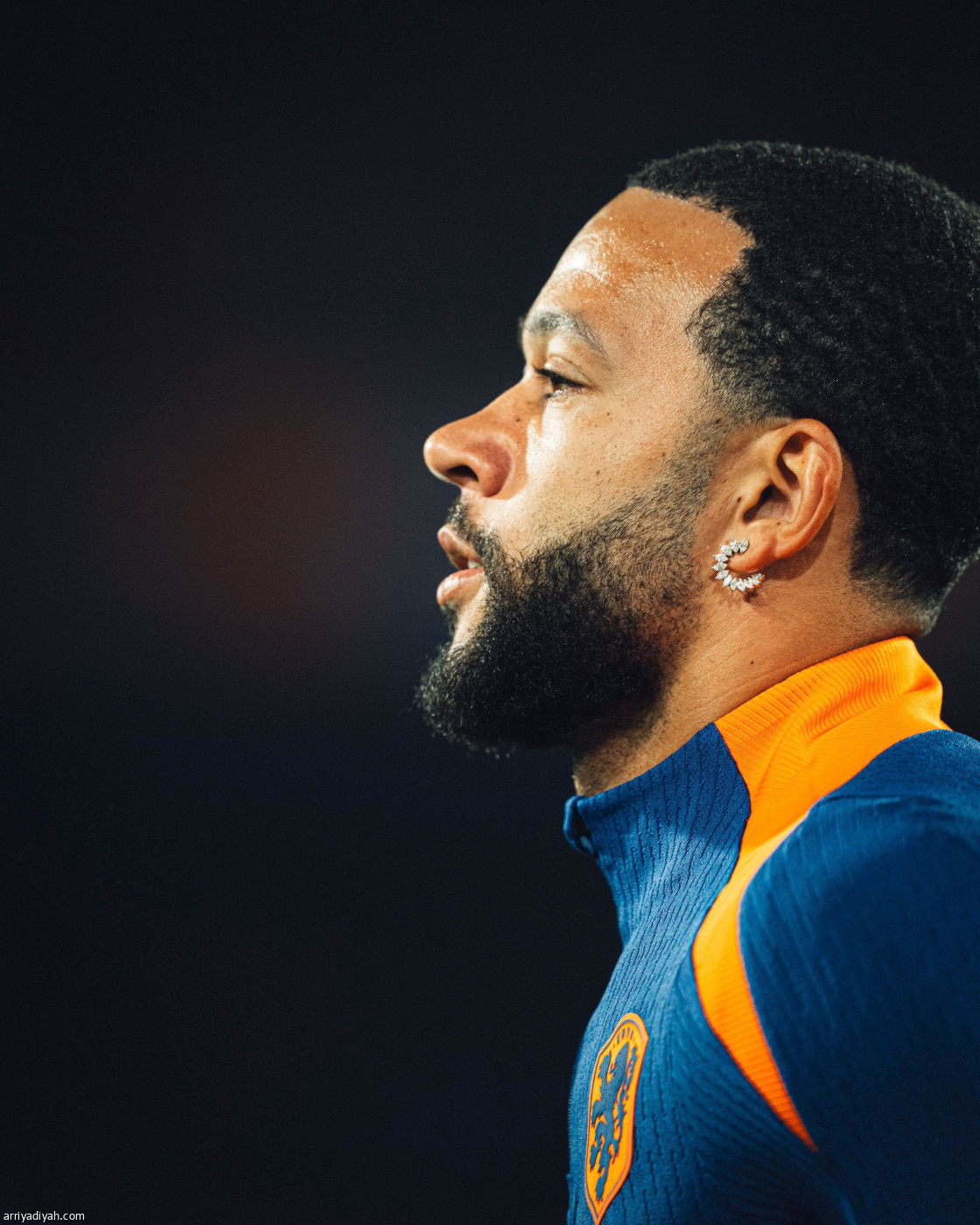 هولندا تتحضر