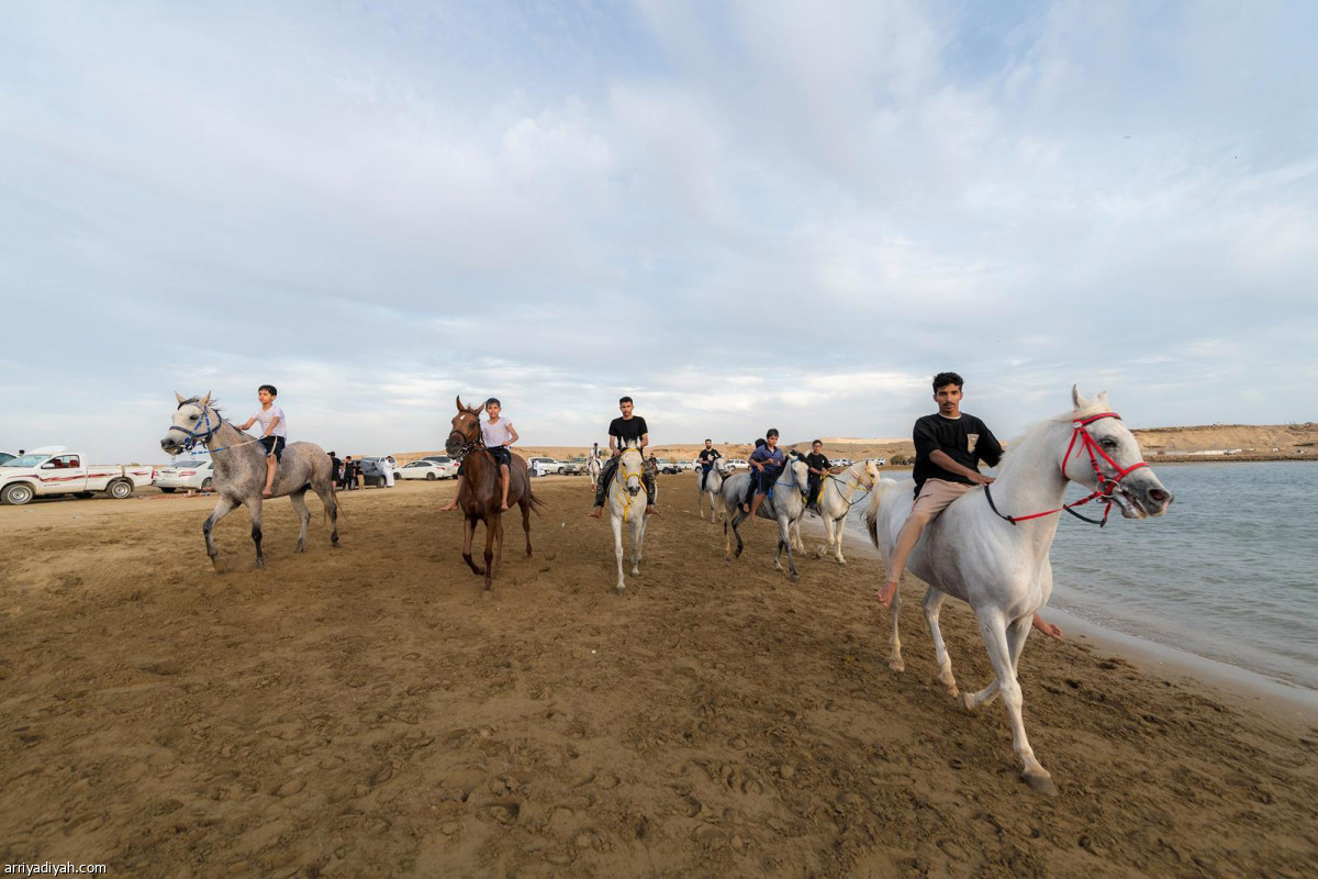 تدريبات يومية