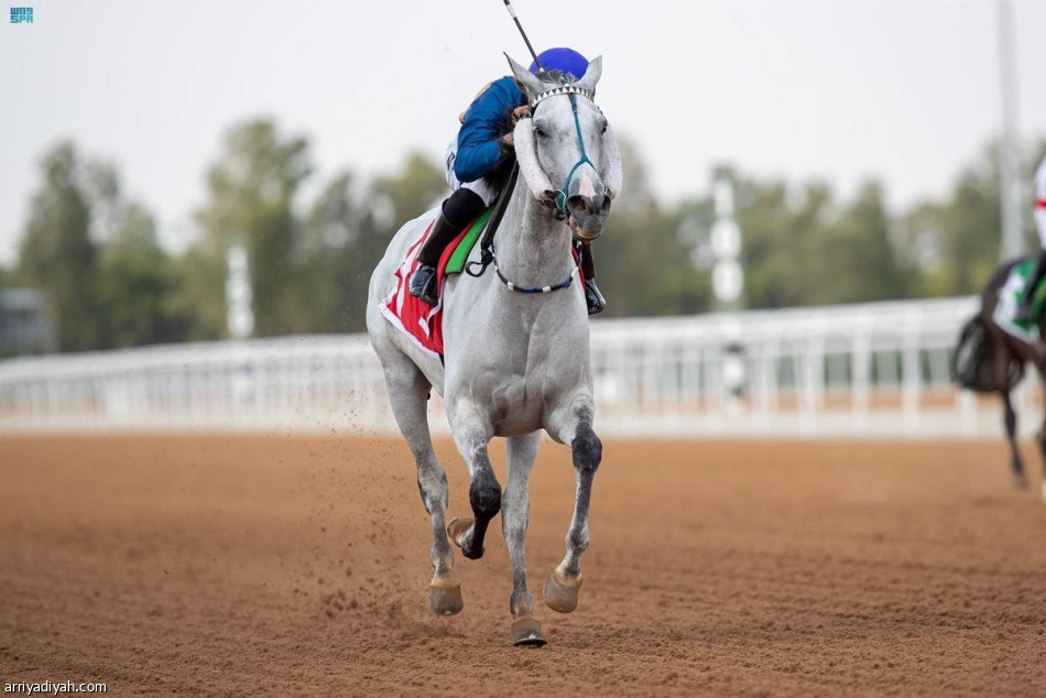 نادي الخيل ينظم حفل موسم سباقات الطائف 2023