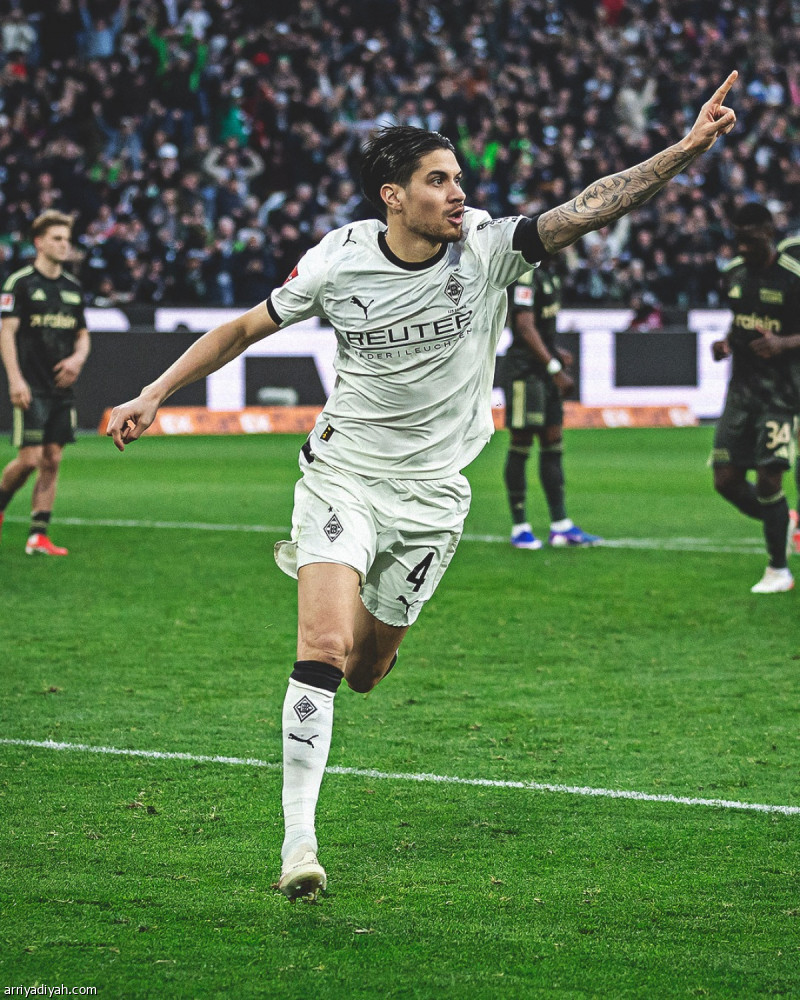 هوفنهايم يسقط.. وجلادباخ يبتعد