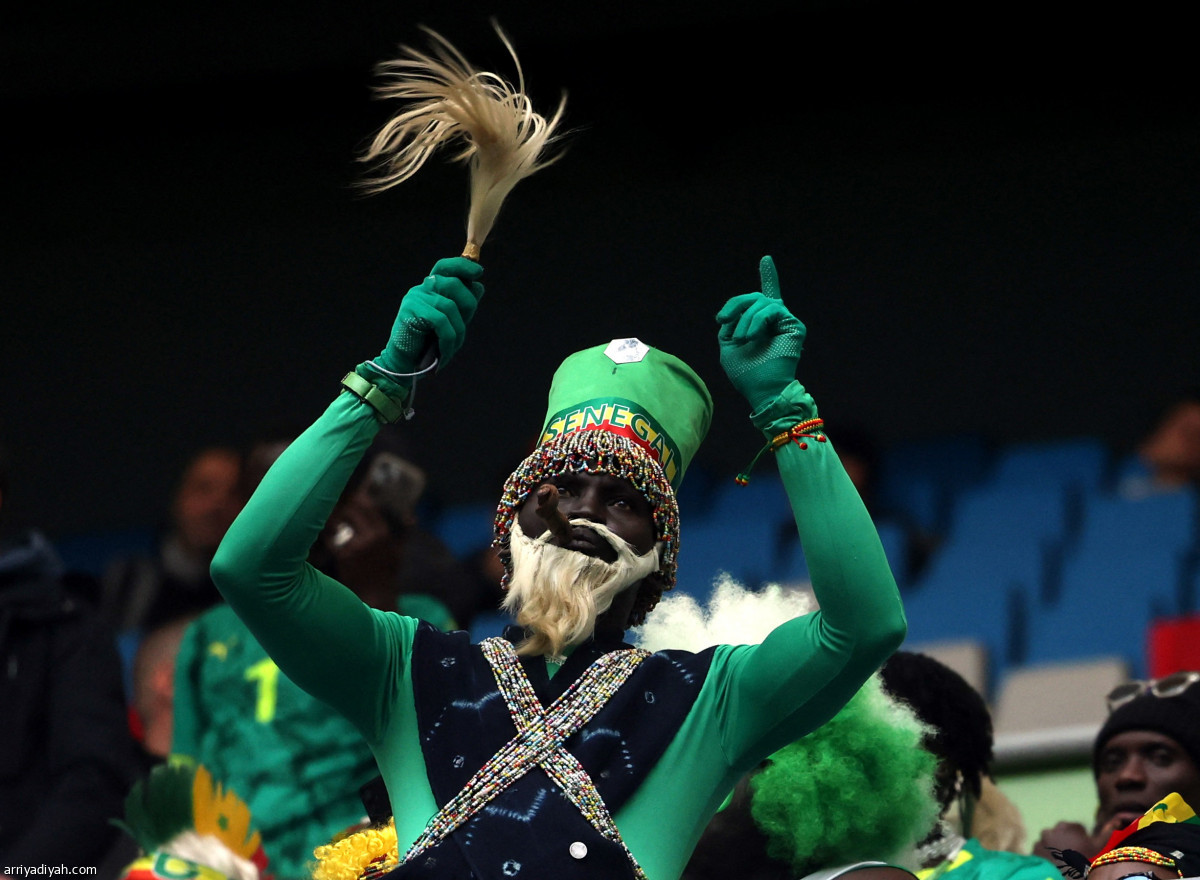 «فراعنة» و«أسود»