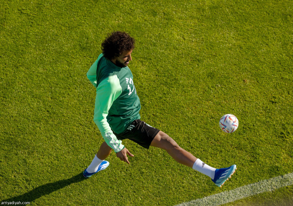 ذهبي المولد
يحسم مناورة الصقور