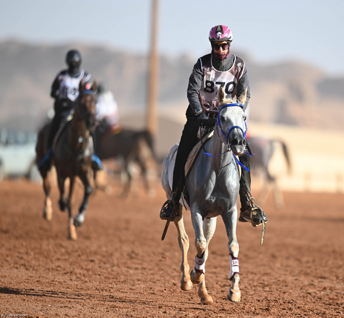 الفرسان في العُلا