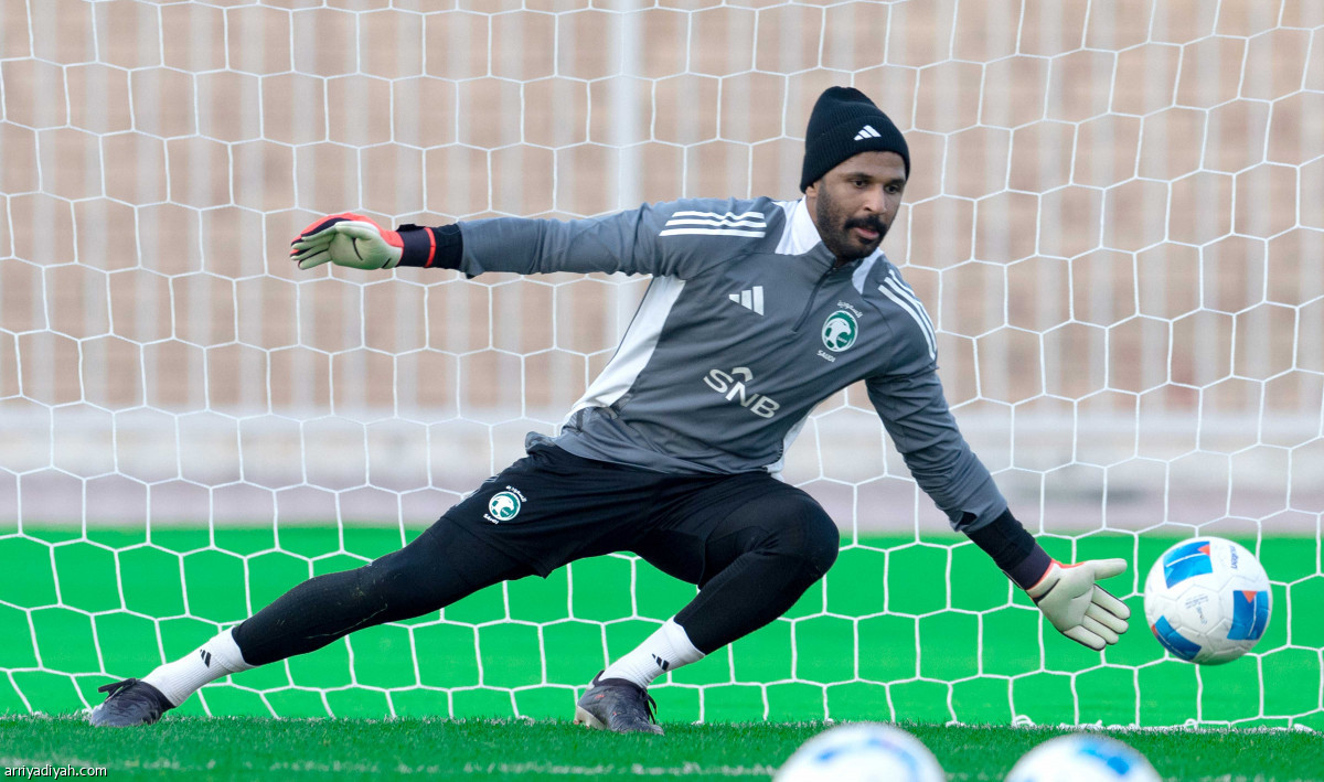 استقبال وتسديد