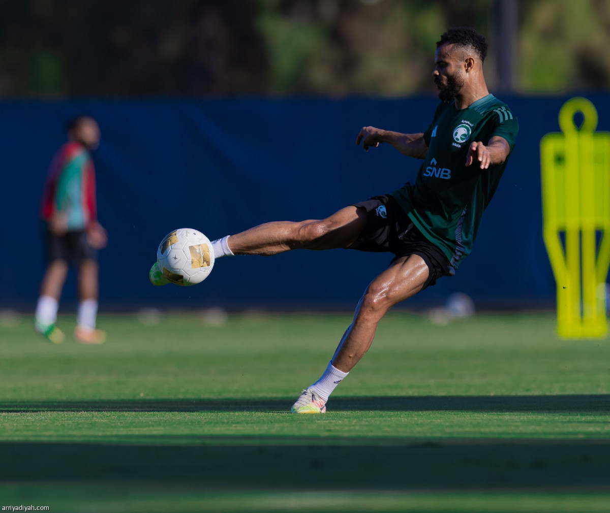 تدريب الأخضر