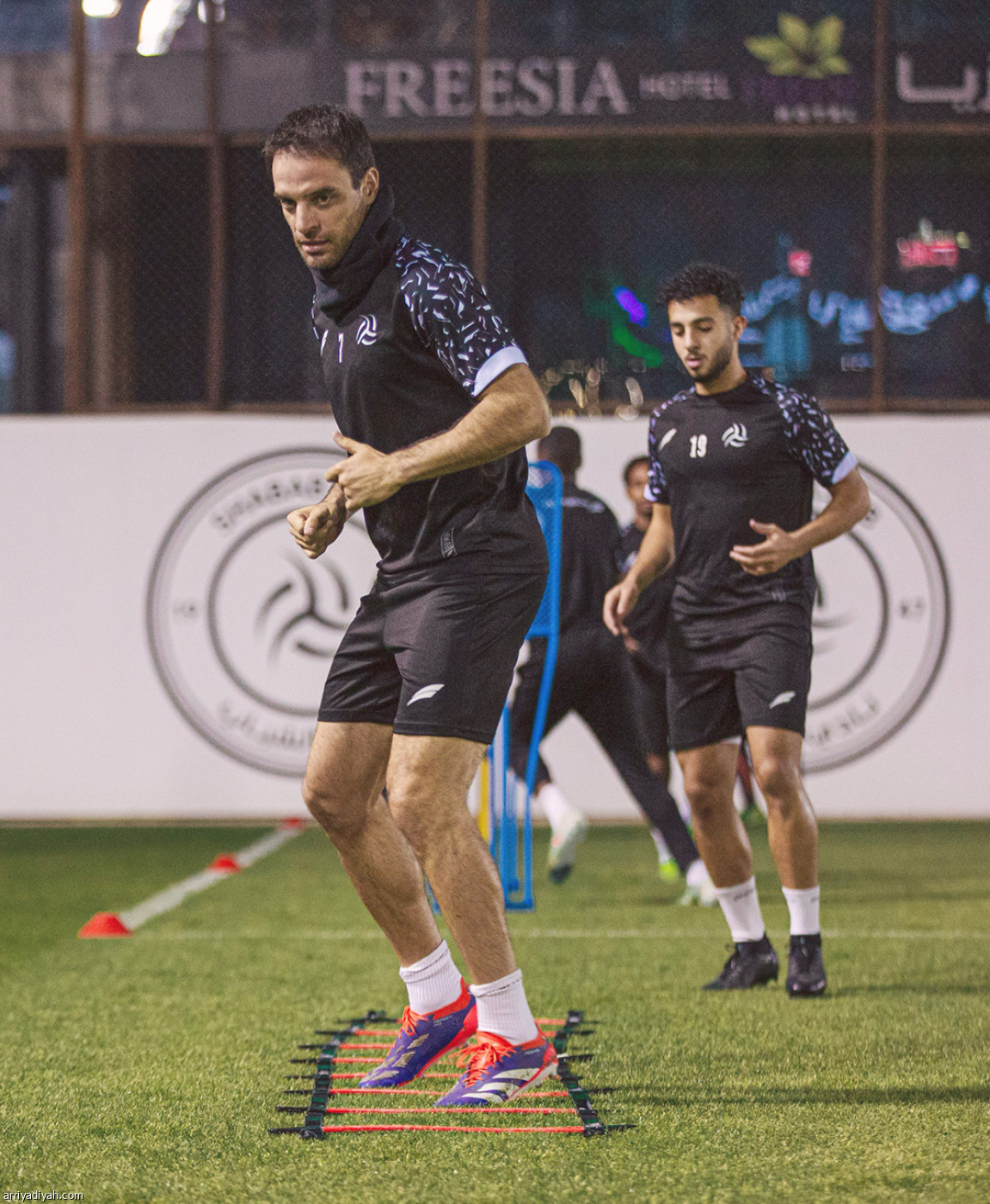 الليوث تستأنف