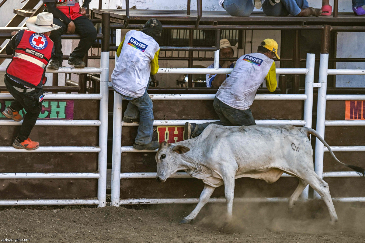 ركوب الثيران