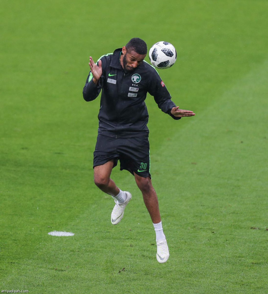 الأخضر جاهز لألمانيا