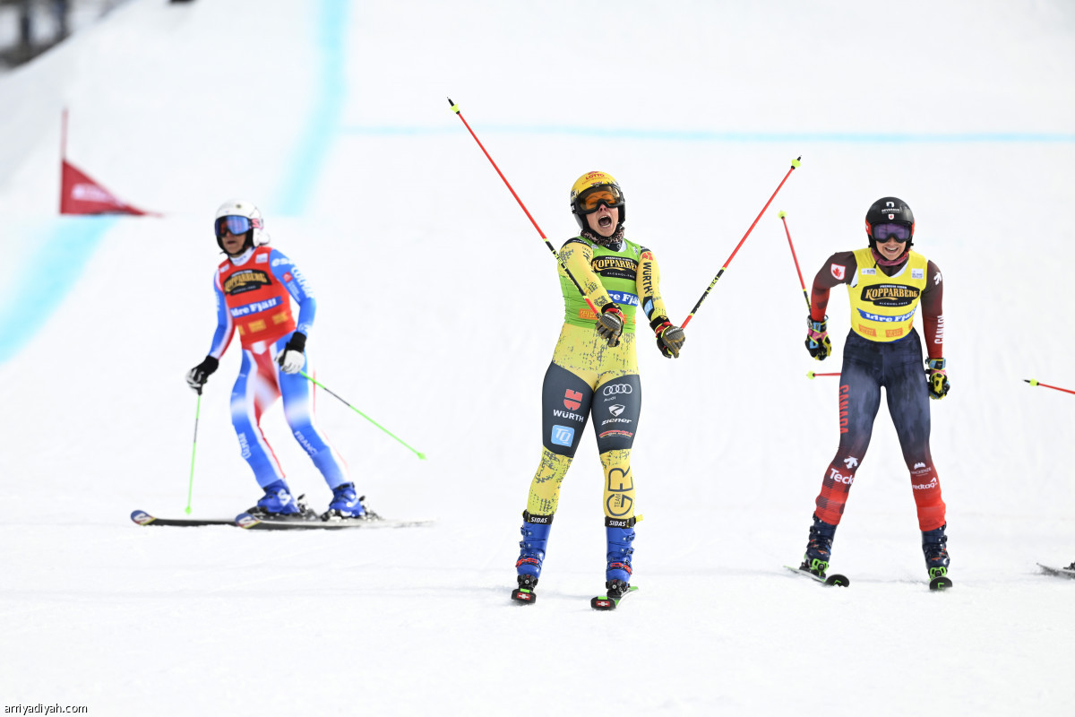 أبطال الجليد