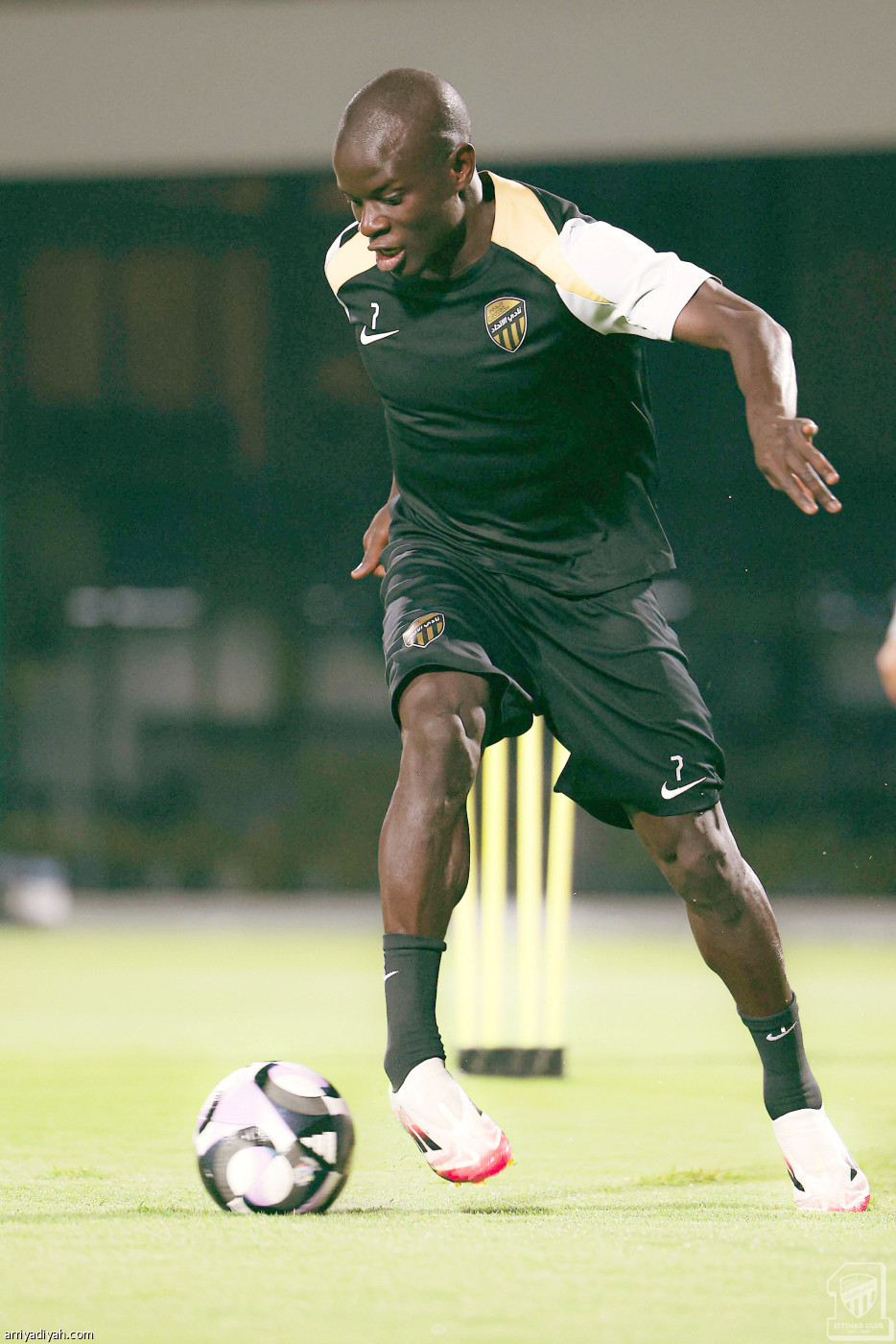 «النمور» جاهزون