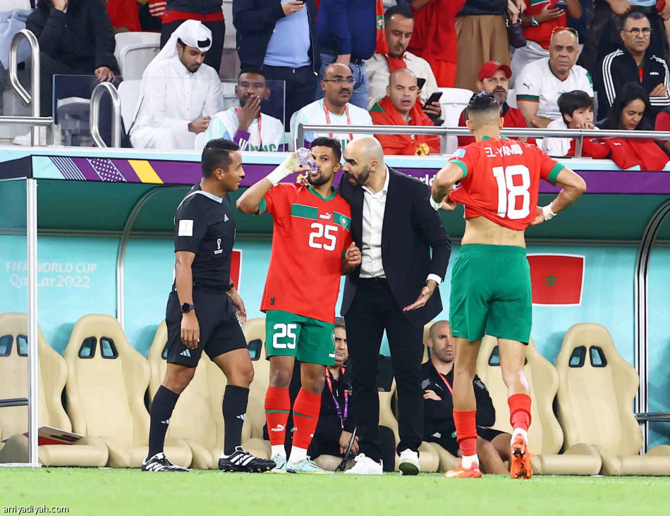 مواليد الخارج.. 
مصدر قوة المغرب
