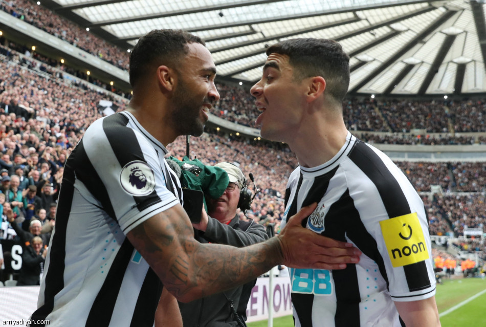 ثلاثية ساوثامبتون تقرب نيوكاسل من الأبطال