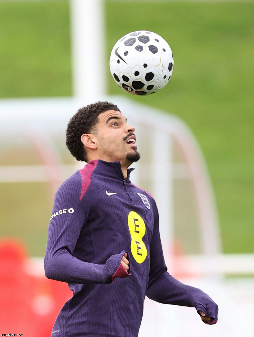 «الأسود الثلاثة» تستعد