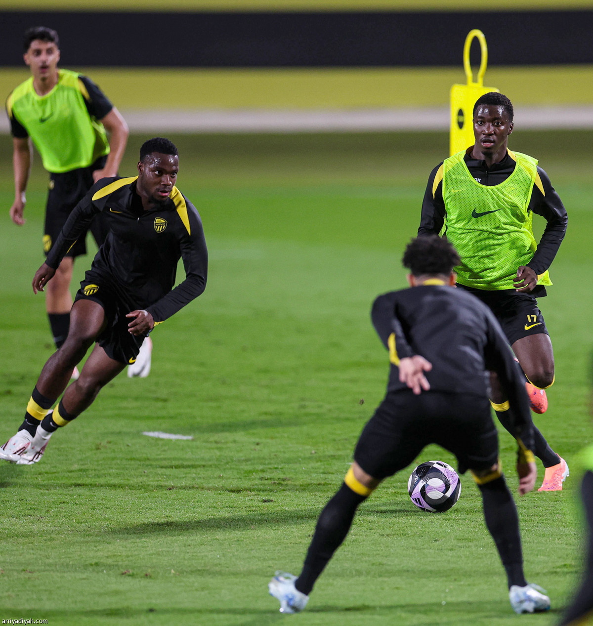 تحضيرات مستمرة