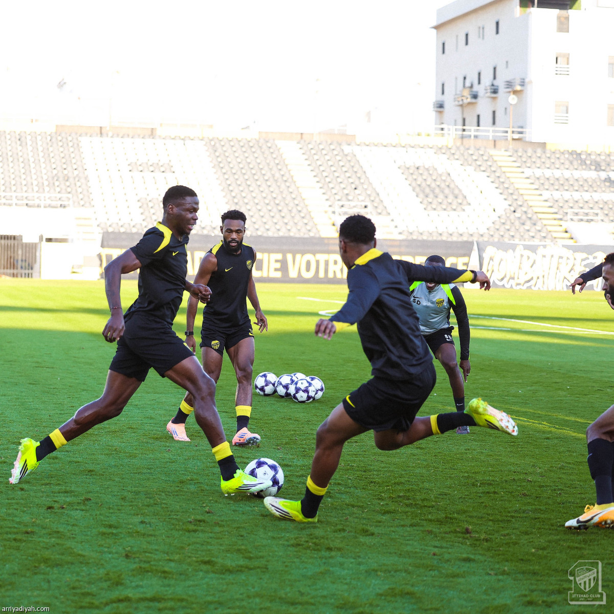 المدرج يؤازر «النمور»