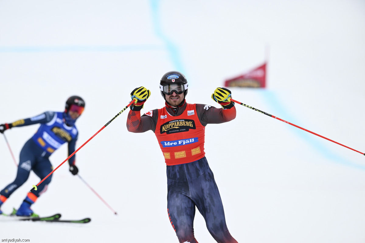 أبطال الجليد