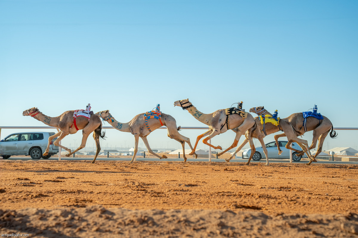 استمرار التحدي