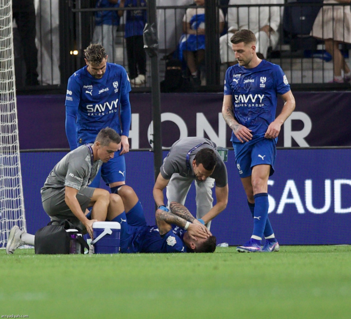 هدية سافيتش