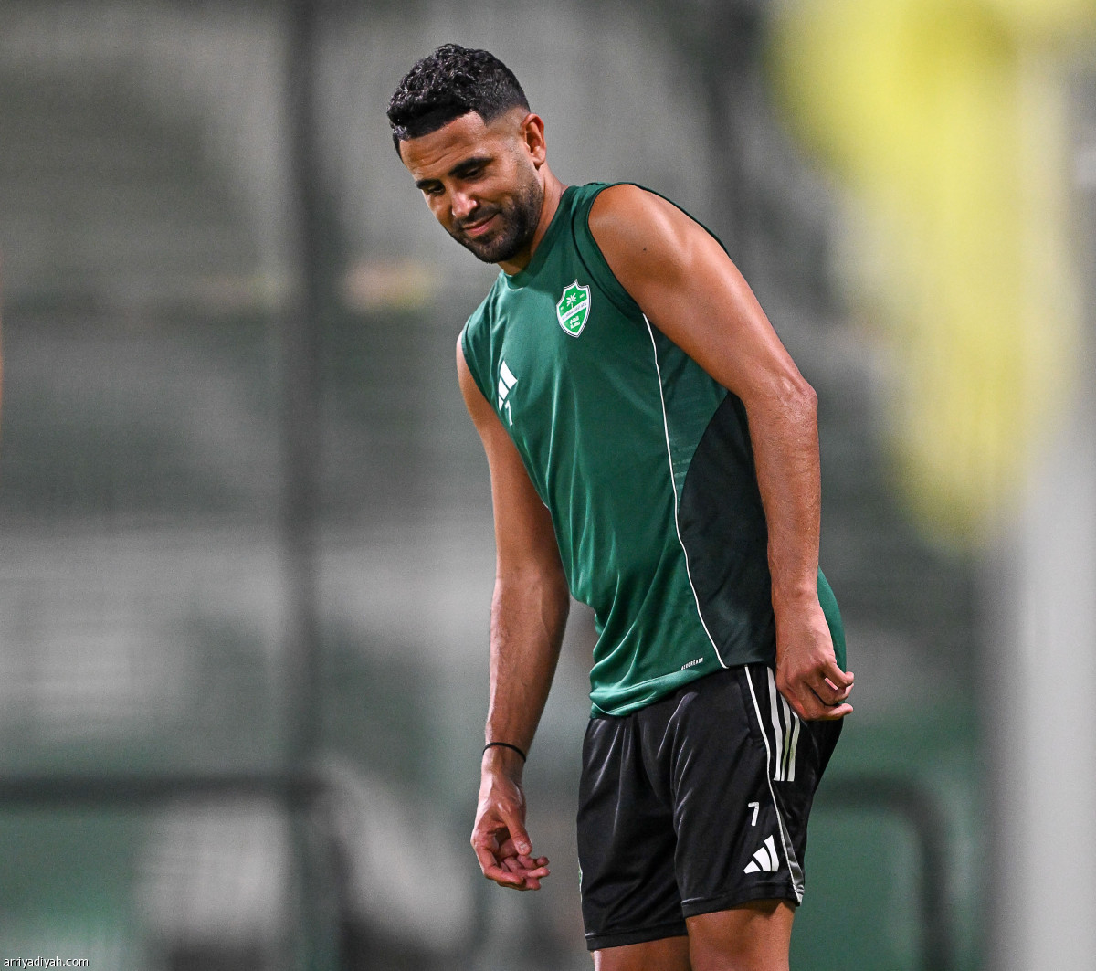 تأهب أهلاوي